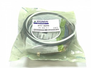 31Y1-30290 Ремкомплект гидроцилиндра HYUNDAI 31Y1-30290 Ремкомплект гидроцилиндра HYUNDAI