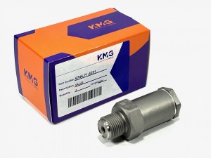 6746-71-4231 Клапан топливной рампы KMG